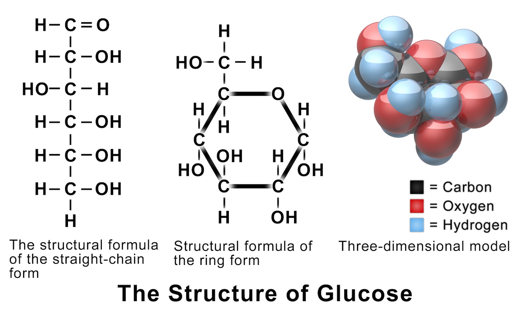 gLUCOSE
