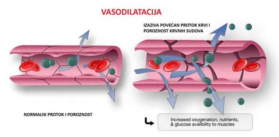 vasodilatacija