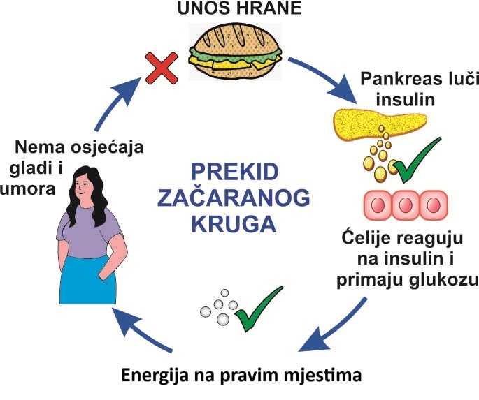 Prekid zacaranog kruga